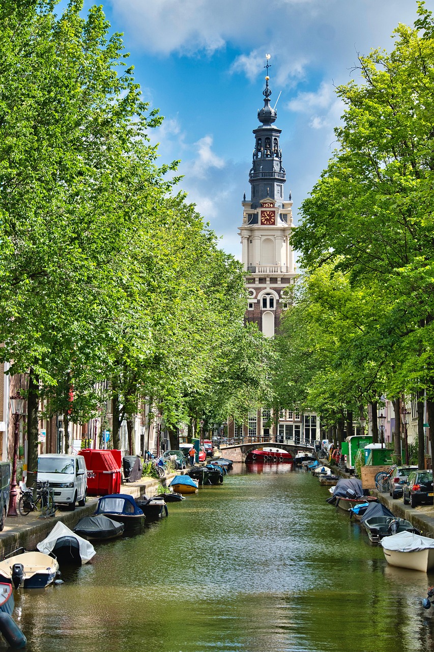 Zuiderkerk tower framed by trees